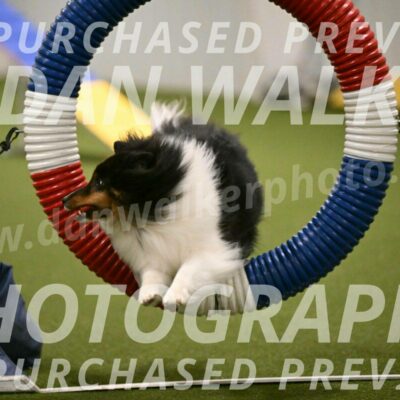 Sting-Susan-Crank-12051