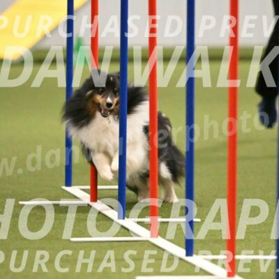 Sting-Susan-Crank-12052