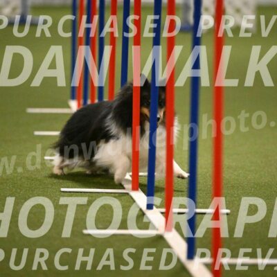 Sting-Susan-Crank-12053