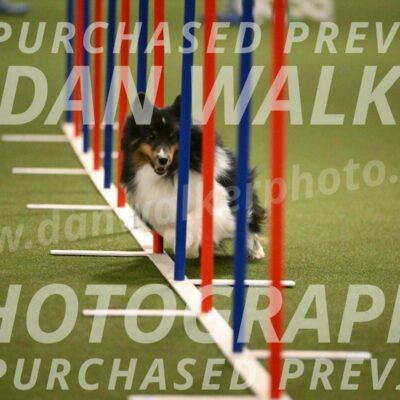 Sting-Susan-Crank-12054