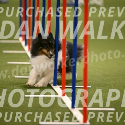 Sting-Susan-Crank-12055