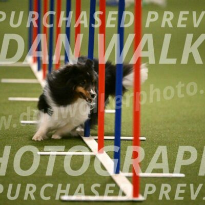 Sting-Susan-Crank-12056