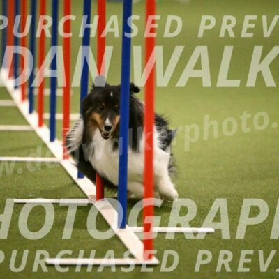 Sting-Susan-Crank-12057