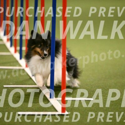 Sting-Susan-Crank-12058