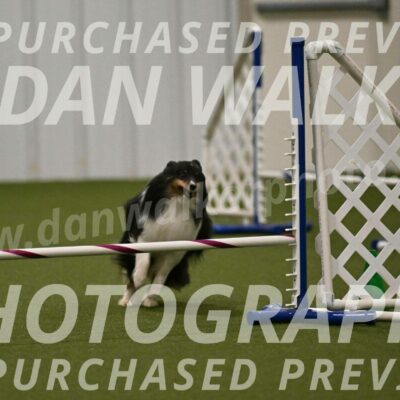 Sting-Susan-Crank-12059