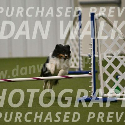 Sting-Susan-Crank-12060