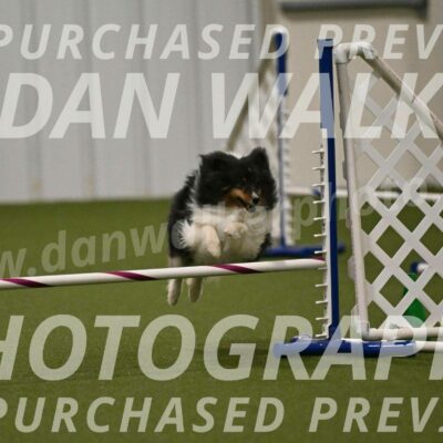 Sting-Susan-Crank-12061