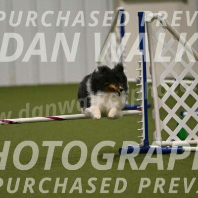 Sting-Susan-Crank-12062