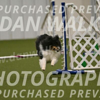 Sting-Susan-Crank-12063