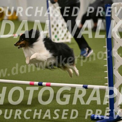 Sting-Susan-Crank-12064