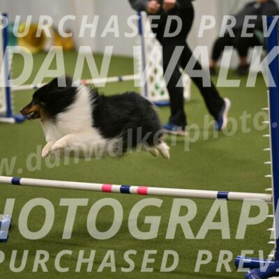 Sting-Susan-Crank-12065