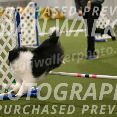 Sting-Susan-Crank-12067