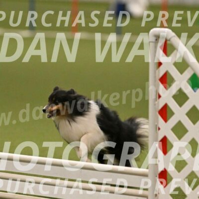 Sting-Susan-Crank-12068