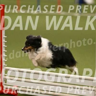 Sting-Susan-Crank-12069