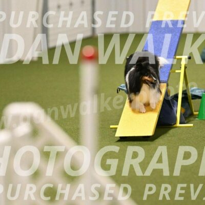 Sting-Susan-Crank-12071