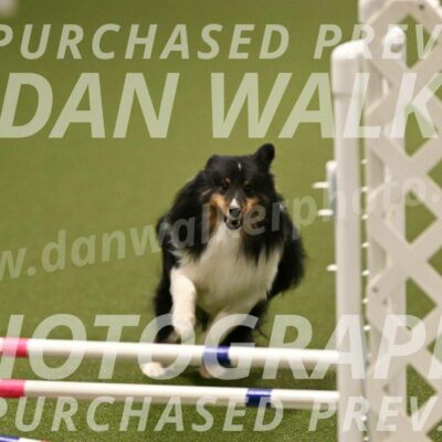 Sting-Susan-Crank-12072