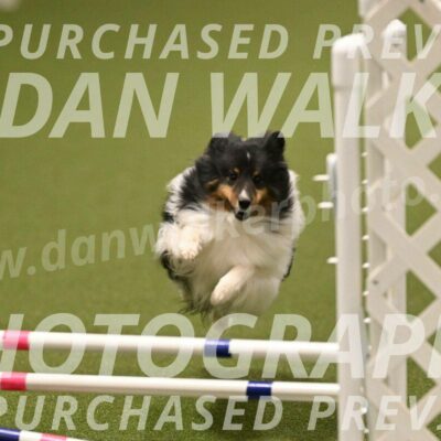 Sting-Susan-Crank-12073