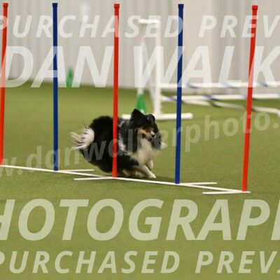 Sting-Susan-Crank-12075