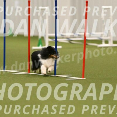 Sting-Susan-Crank-12076