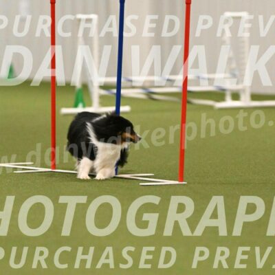 Sting-Susan-Crank-12077