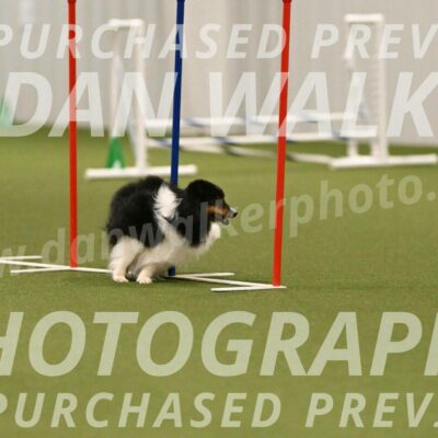 Sting-Susan-Crank-12078