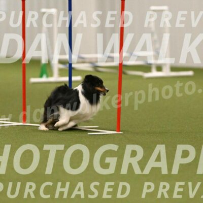 Sting-Susan-Crank-12079