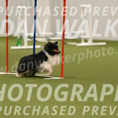 Sting-Susan-Crank-12080