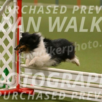 Sting-Susan-Crank-12070