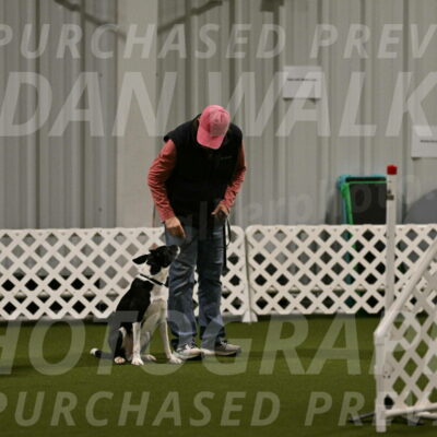 Streak-Marilyn-Sackett-06502