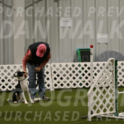 Streak-Marilyn-Sackett-06503