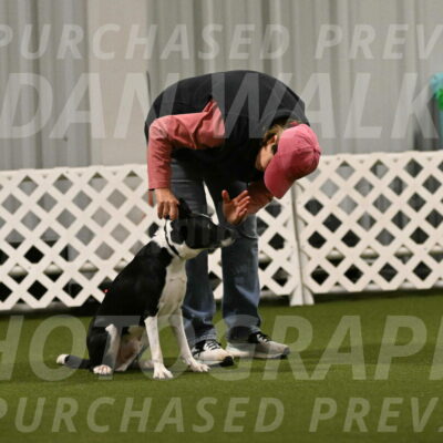 Streak-Marilyn-Sackett-06504