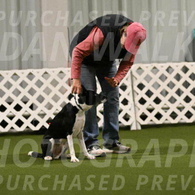 Streak-Marilyn-Sackett-06505