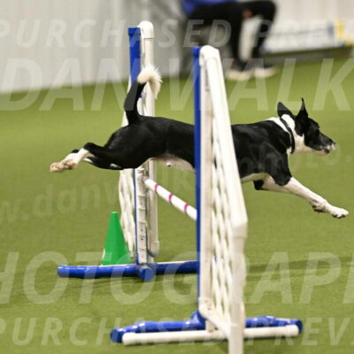 Streak-Marilyn-Sackett-06508