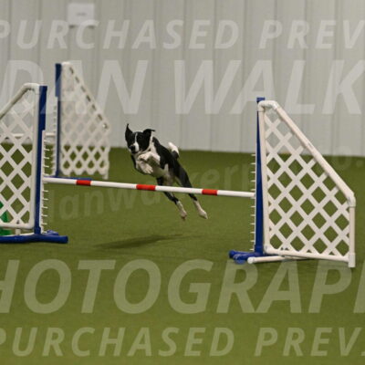 Streak-Marilyn-Sackett-06509