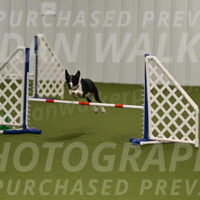 Streak-Marilyn-Sackett-06510