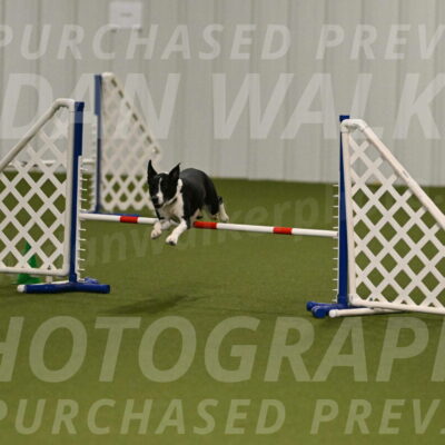 Streak-Marilyn-Sackett-06511