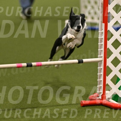 Streak-Marilyn-Sackett-06513