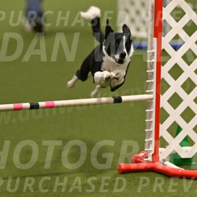 Streak-Marilyn-Sackett-06514