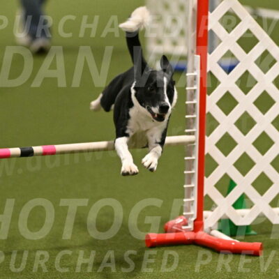 Streak-Marilyn-Sackett-06515