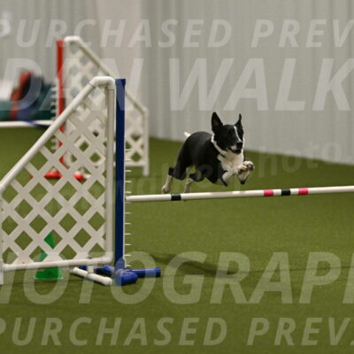 Streak-Marilyn-Sackett-06518