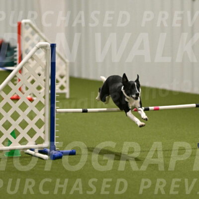 Streak-Marilyn-Sackett-06519