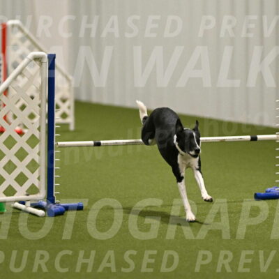 Streak-Marilyn-Sackett-06520