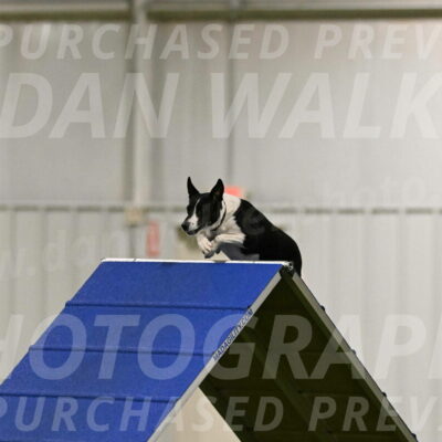 Streak-Marilyn-Sackett-06522