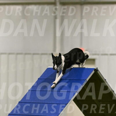 Streak-Marilyn-Sackett-06525