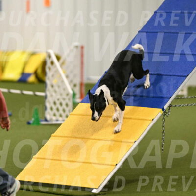 Streak-Marilyn-Sackett-06526