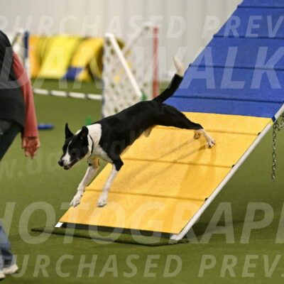 Streak-Marilyn-Sackett-06527