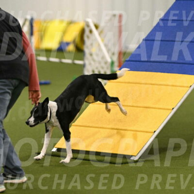 Streak-Marilyn-Sackett-06528