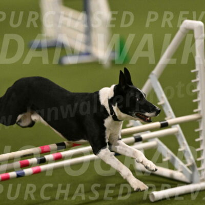 Streak-Marilyn-Sackett-06530