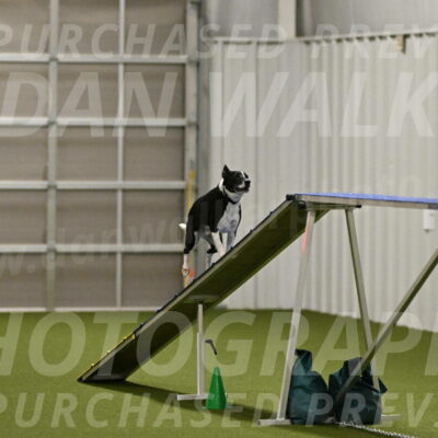 Streak-Marilyn-Sackett-06531