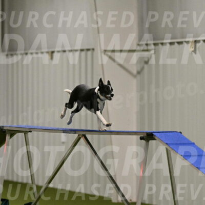 Streak-Marilyn-Sackett-06532